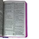 Bíblia Leão Coroa Letra Gigante Capa Dura Com Harpa Feminina Arc