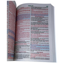 Bíblia Leão Desenho Letra Gigante Capa Brochura Com Harpa Masculina Arc