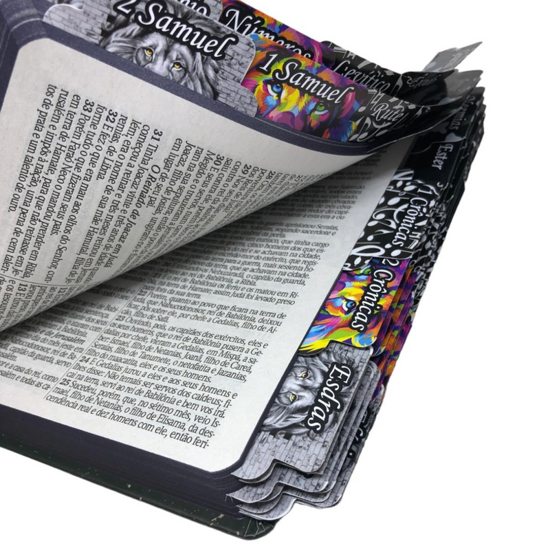 Bíblia Leão Deus Pai Letra Gigante Capa Dura Com Harpa E Abas Adesivas Já Coladas Feminina Arc