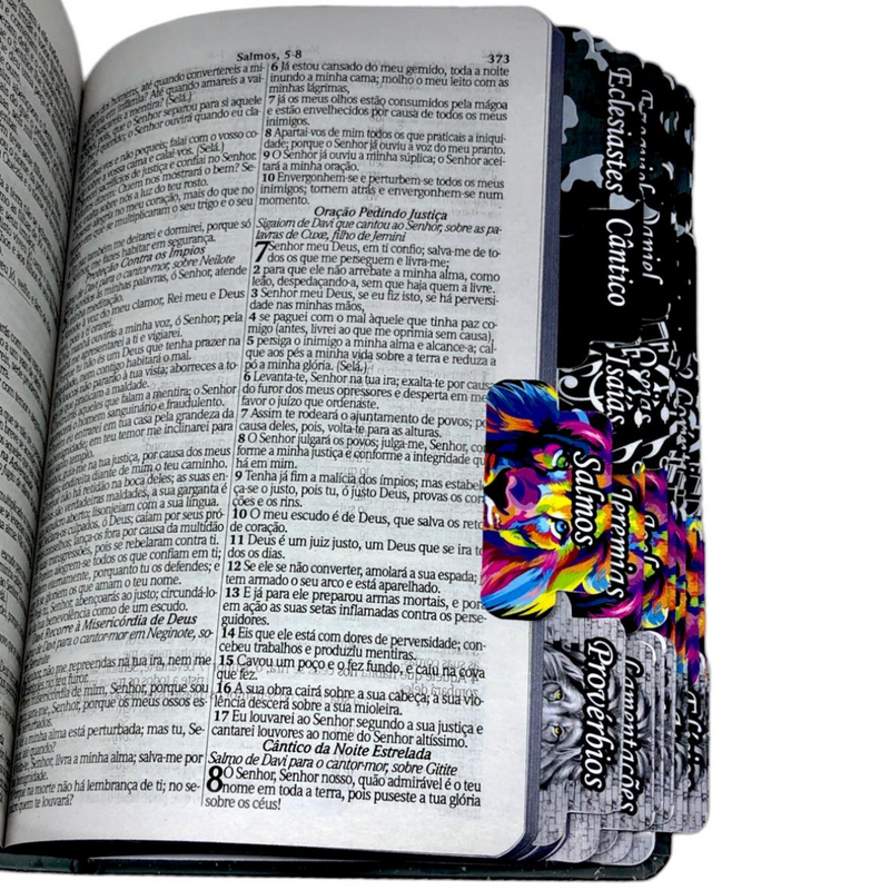 Bíblia Leão Deus Pai Letra Gigante Capa Dura Com Harpa E Abas Adesivas Já Coladas Feminina Arc