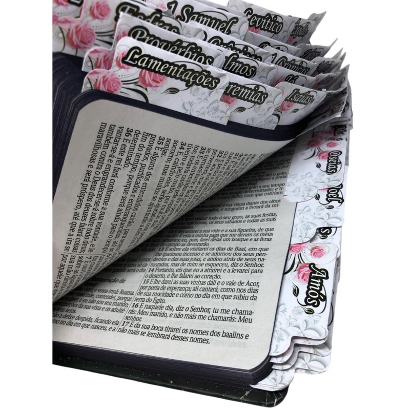 Bíblia Leão Deus Pai Letra Gigante Capa Dura Com Harpa E Abas Adesivas Já Coladas Feminina Arc