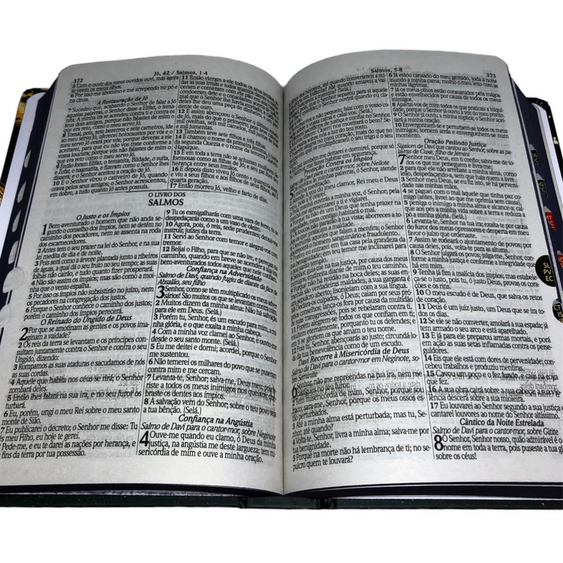 Bíblia Leão Deus Pai Letra Gigante Capa Dura Com Harpa E Índice Feminina Arc