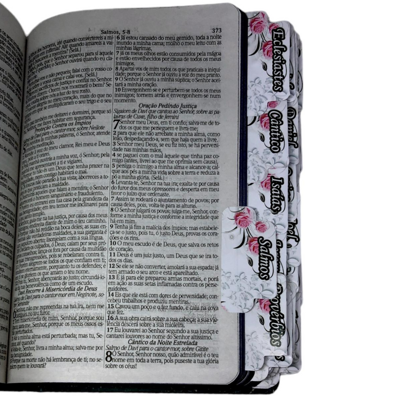 Bíblia Leão Deus Pai Letra Gigante Capa Dura Com Harpa E Abas Adesivas Já Coladas Feminina Arc