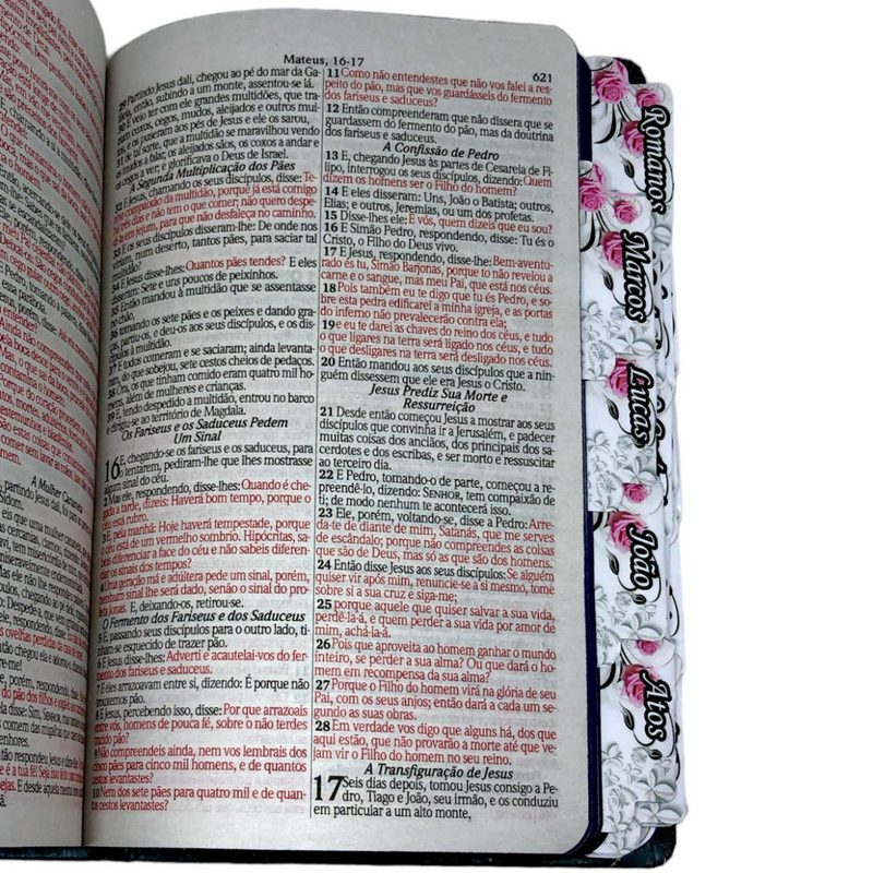 Bíblia Leão Deus Pai Letra Gigante Capa Dura Com Harpa E Abas Adesivas Já Coladas Feminina Arc
