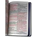 Bíblia Leão Deus Pai Letra Gigante Capa Dura Com Harpa Feminina Arc