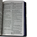 Bíblia Leão Deus Pai Letra Gigante Capa Dura Com Harpa Feminina Arc