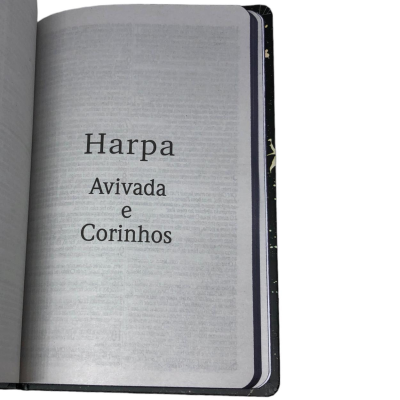 Bíblia Leão Deus Pai Letra Gigante Capa Dura Com Harpa Feminina Arc