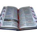 Bíblia Leão Estrela Color Letra Gigante Capa Flexível Com Harpa E Abas Feminina Arc