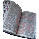 Bíblia Leão Estrela Color Letra Gigante Capa Flexível Com Harpa E Abas Feminina Arc