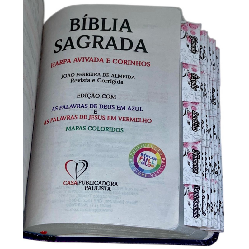 Bíblia Leão Estrela Color Letra Gigante Capa Flexível Com Harpa E Abas Coladas Feminina Arc