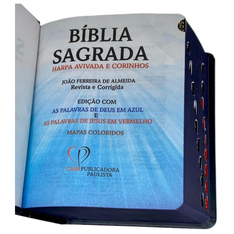 Bíblia Leão Aquarela Letra Grande Capa Dura Com Harpa e Índice Masculina Arc