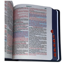 Bíblia Leão Aquarela Letra Grande Capa Dura Com Harpa e Índice Masculina Arc