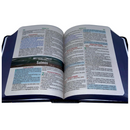 Bíblia Leão Inteiro Letra Grande Capa Dura Com Harpa Masculina Arc