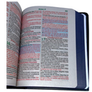 Bíblia Leão Inteiro Letra Grande Capa Dura Com Harpa Masculina Arc