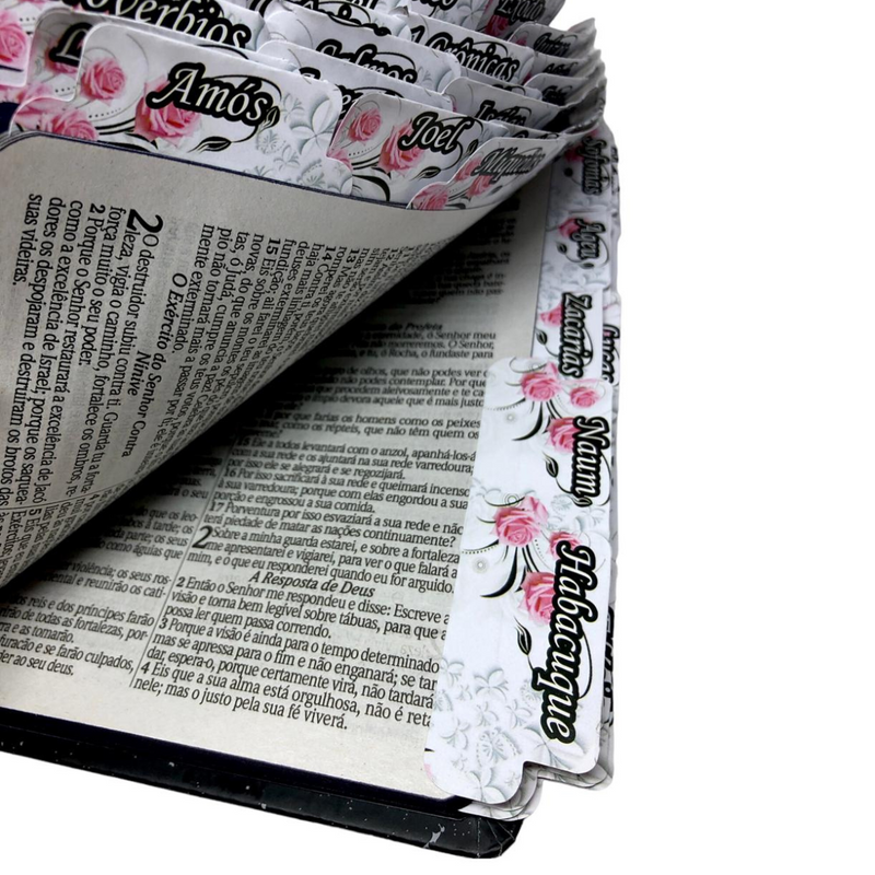 Bíblia Leão Jardim Letra Gigante Capa Dura Com Harpa E Abas Adesivas Já Coladas Feminina Arc
