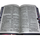 Bíblia Leão Jardim Letra Gigante Capa Dura Com Harpa E Índice Feminina Arc