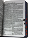 Bíblia Leão Jardim Letra Gigante Capa Dura Com Harpa E Índice Feminina Arc