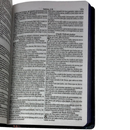 Bíblia Leão Jardim Letra Gigante Capa Dura Com Harpa Feminina Arc