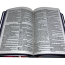 Bíblia Leão Jardim Letra Gigante Capa Dura Com Harpa Feminina Arc