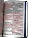 Bíblia Leão Jardim Letra Gigante Capa Dura Com Harpa Feminina Arc