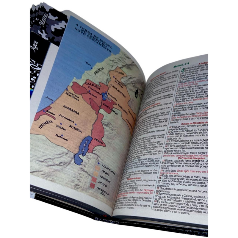 Bíblia Leão Jesus Letra Gigante Capa Flexível Com Harpa E Abas Masculina Arc