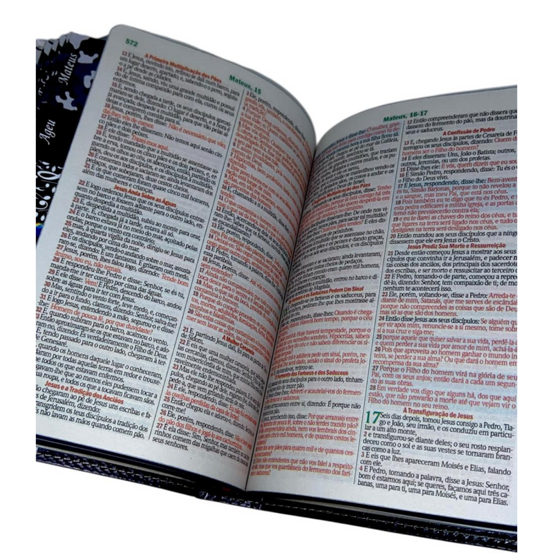 Bíblia Leão Jesus Letra Gigante Capa Flexível Com Harpa E Abas Masculina Arc