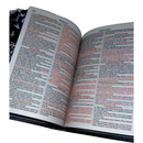 Bíblia Leão Jesus Letra Gigante Capa Flexível Com Harpa E Abas Coladas Masculina Arc