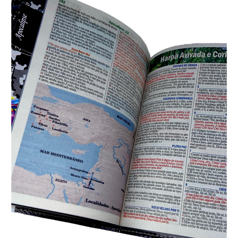 Bíblia Leão Jesus Letra Gigante Capa Flexível Com Harpa E Abas Masculina Arc