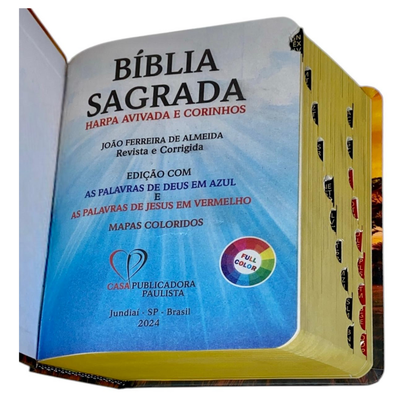 Bíblia Leão Paisagem Letra Grande Capa Dura Com Harpa e Índice Masculina Arc
