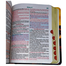 Bíblia Leão Paisagem Letra Grande Capa Dura Com Harpa e Índice Masculina Arc