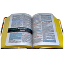 Bíblia Leão Paisagem Letra Grande Capa Dura Com Harpa Masculina Arc