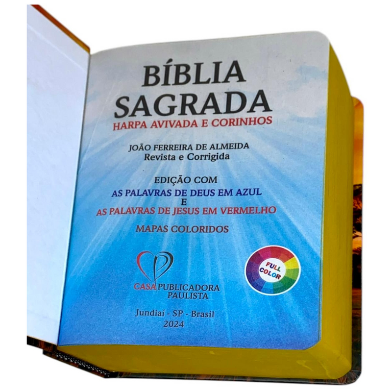 Bíblia Leão Paisagem Letra Grande Capa Dura Com Harpa Masculina Arc