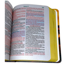 Bíblia Leão Paisagem Letra Grande Capa Dura Com Harpa Masculina Arc