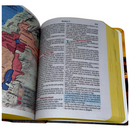 Bíblia Leão Paisagem Letra Grande Capa Dura Com Harpa Masculina Arc