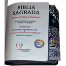 Bíblia Cristo Vive Letra Gigante Capa Flexível Com Harpa E Abas Masculina Arc