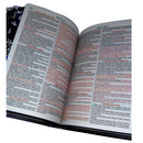 Bíblia Cristo Vive Letra Gigante Capa Flexível Com Harpa E Abas Masculina Arc