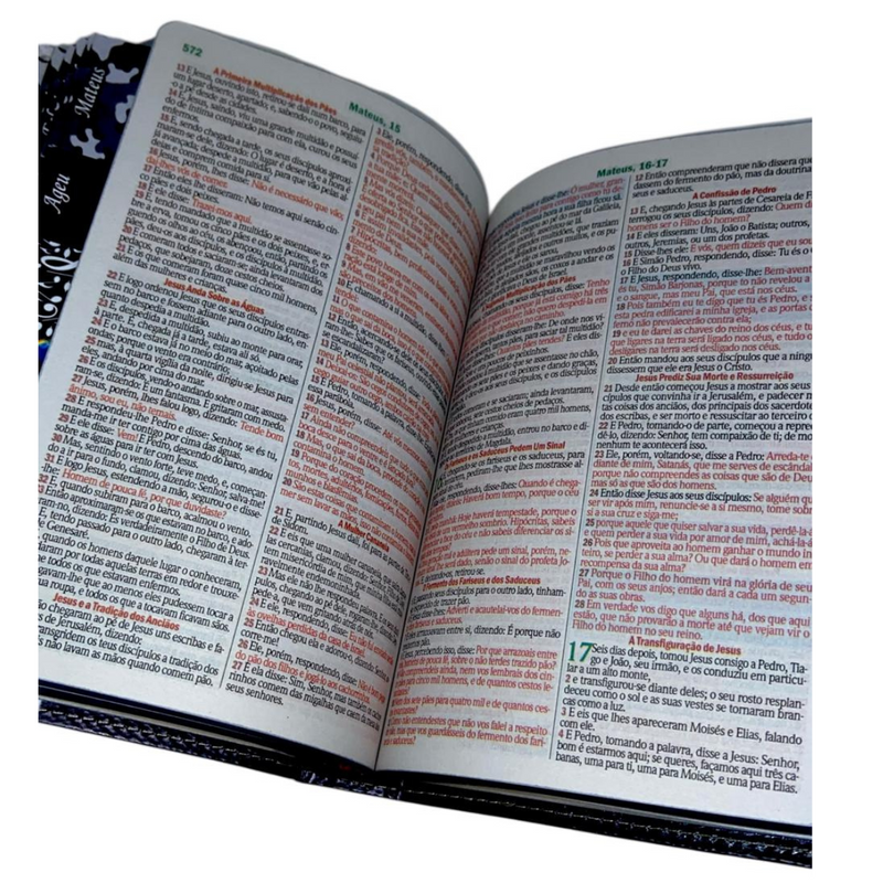 Bíblia Cristo Vive Letra Gigante Capa Flexível Com Harpa E Abas Coladas Masculina Arc