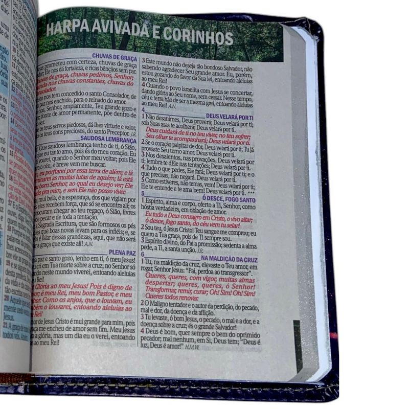Bíblia Leão Real Letra Grande Capa Flexível Com Harpa e Índice Masculina Arc