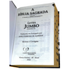 Bíblia Leão Rei Letra Jumbo Capa Dura Com Harpa e Índice Masculina Arc