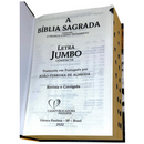 Bíblia Leão Rei Letra Jumbo Capa Dura Com Harpa e Índice Masculina Arc