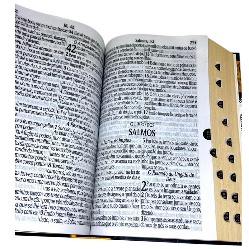Bíblia Leão Rei Letra Jumbo Capa Dura Com Harpa e Índice Masculina Arc