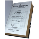 Bíblia Leão Rei Letra Jumbo Capa Dura Com Harpa Masculina Arc