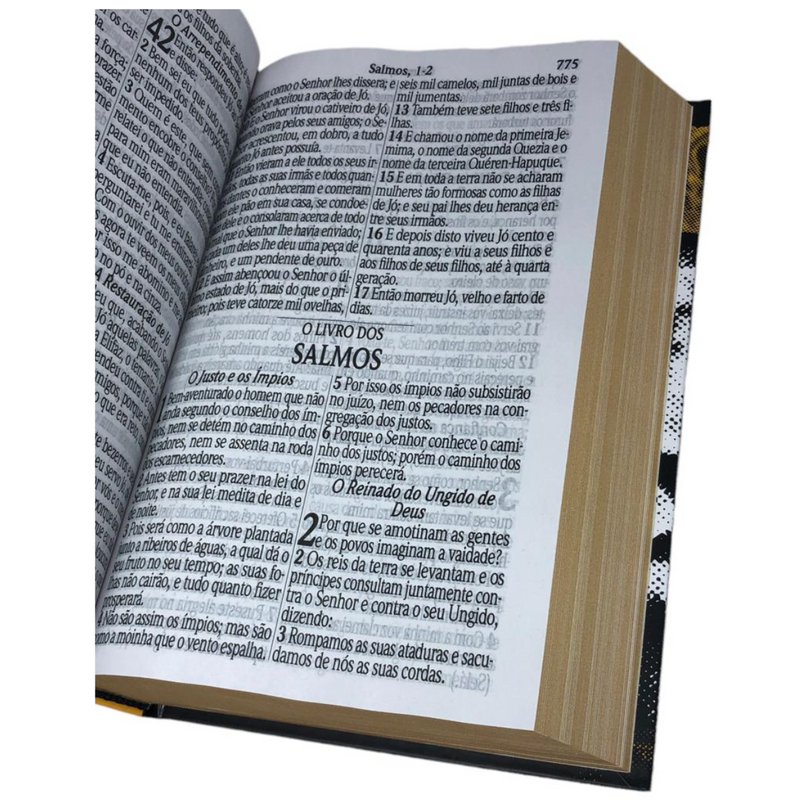 Bíblia Leão Rei Letra Jumbo Capa Dura Com Harpa Masculina Arc