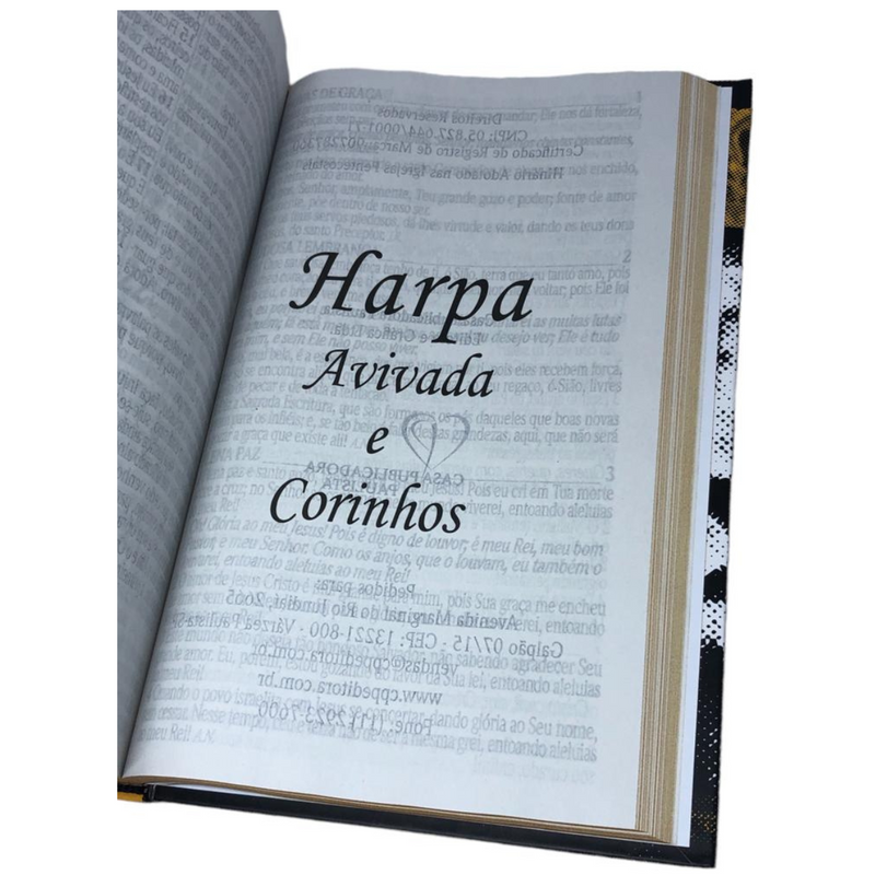 Bíblia Leão Rei Letra Jumbo Capa Dura Com Harpa Masculina Arc