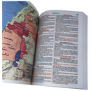 Bíblia Leão Rosa Letra Gigante Capa Brochura Com Harpa Feminina Arc