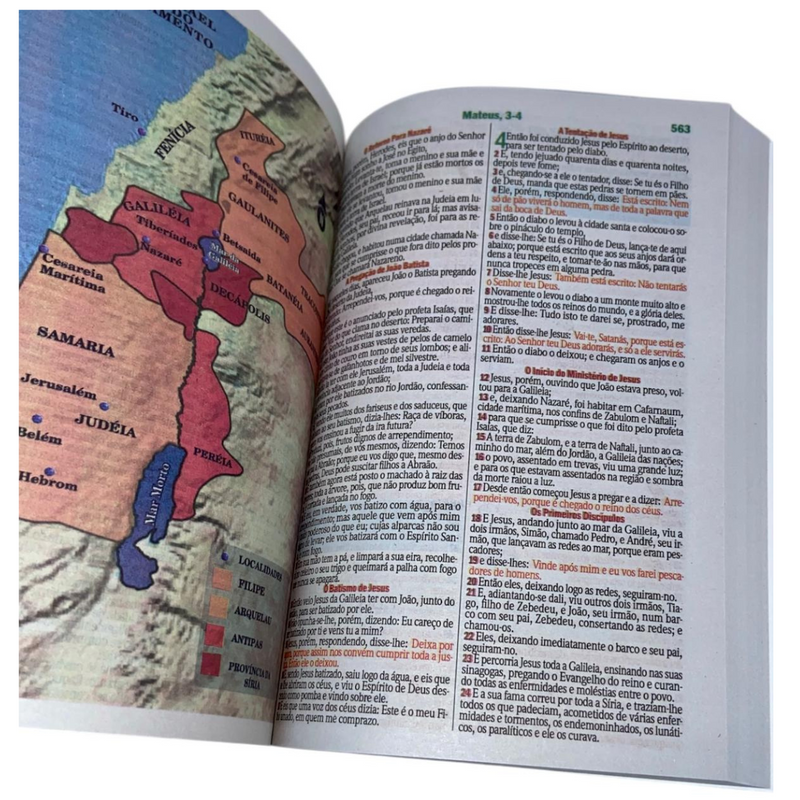 Bíblia Leão Rosa Letra Gigante Capa Brochura Com Harpa Feminina Arc