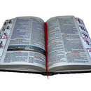 Bíblia Leão Roxa Letra Gigante Capa Flexível Com Harpa E Abas Coladas Feminina Arc