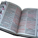 Bíblia Leão Roxa Letra Gigante Capa Flexível Com Harpa E Abas Coladas Feminina Arc