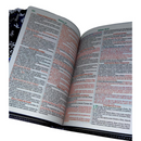 Bíblia Leão Sempre Foi Deus Letra Gigante Capa Flexível Com Harpa E Abas Coladas Masculina Arc