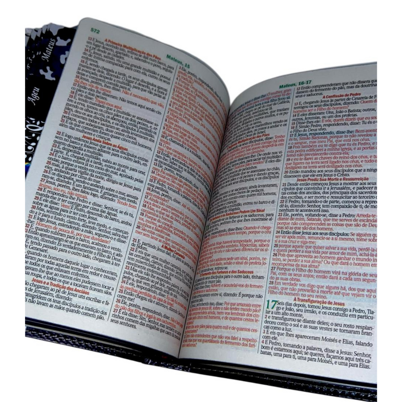 Bíblia Leão Sempre Foi Deus Letra Gigante Capa Flexível Com Harpa E Abas Masculina Arc